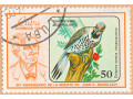 pticka-small-1