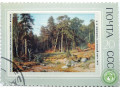 sosnovyi-bor-small-1
