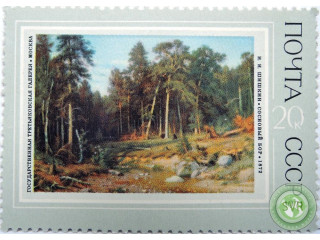 sosnovyi-bor