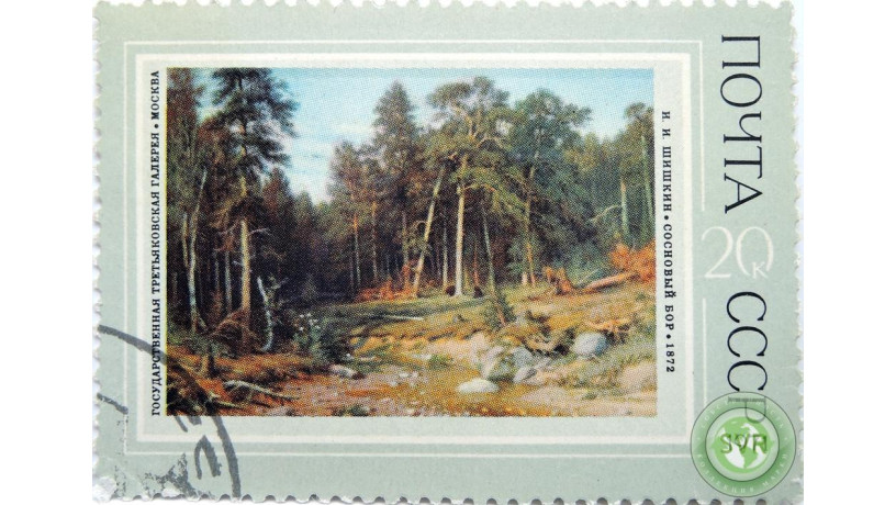 sosnovyi-bor-big-1