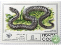 gadiuka-obyknovennaia-small-0